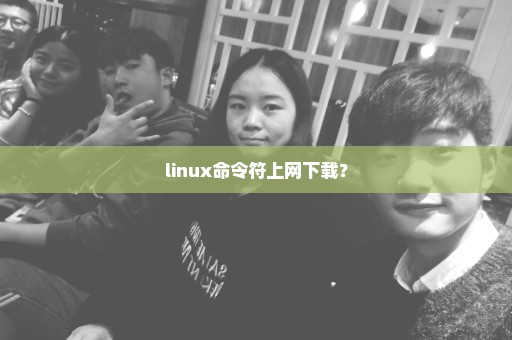 linux命令符上网下载？