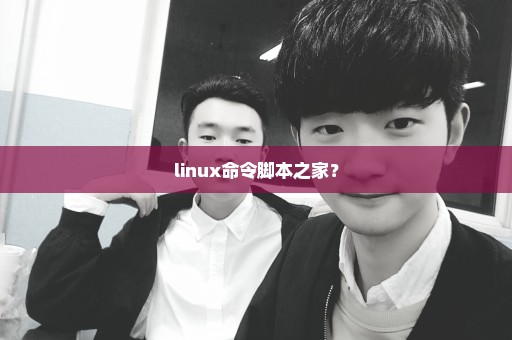 linux命令脚本之家？