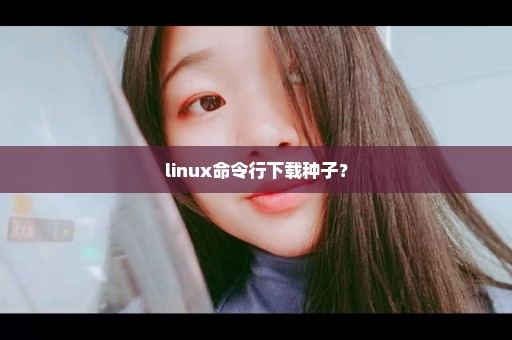 linux命令行下载种子？