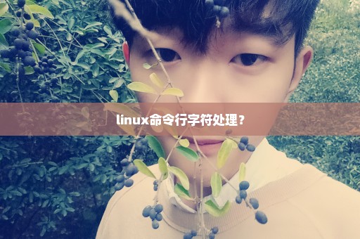 linux命令行字符处理？