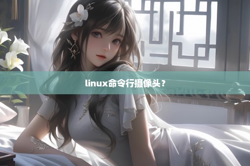 linux命令行摄像头？