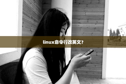 linux命令行改英文？