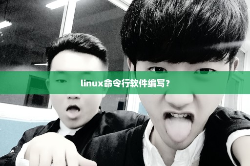 linux命令行软件编写？