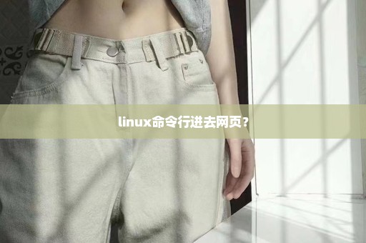 linux命令行进去网页？