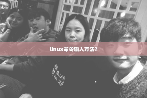 linux命令输入方法？