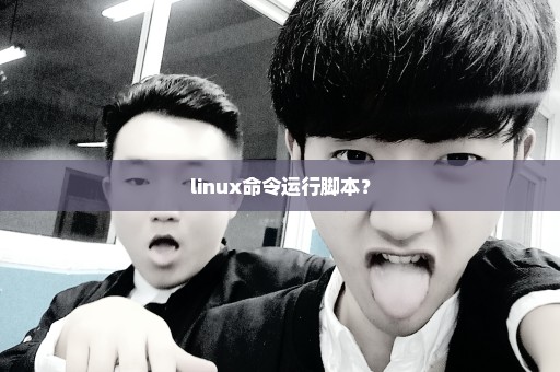 linux命令运行脚本？