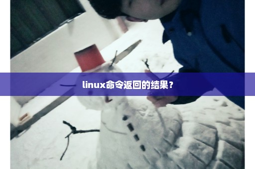 linux命令返回的结果？