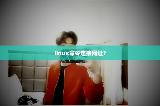 linux命令连接网址？