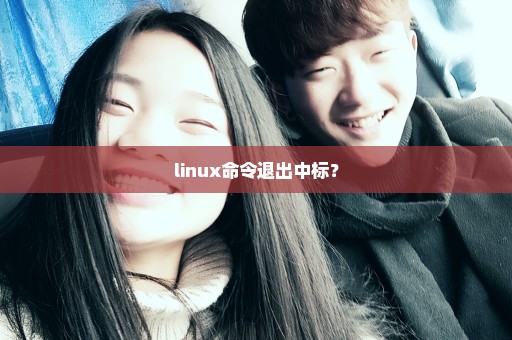 linux命令退出中标？