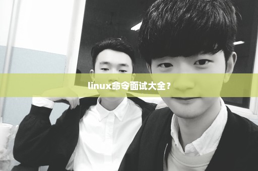 linux命令面试大全？