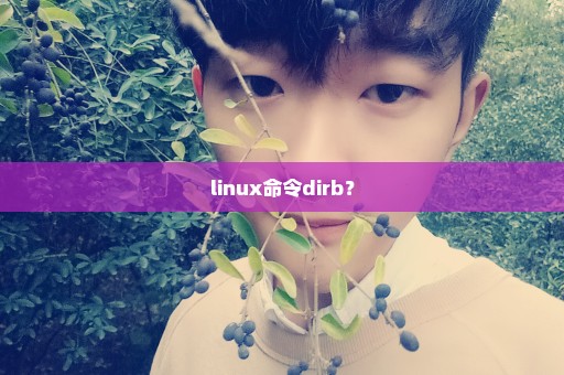 linux命令dirb？