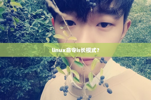 linux命令is长模式？