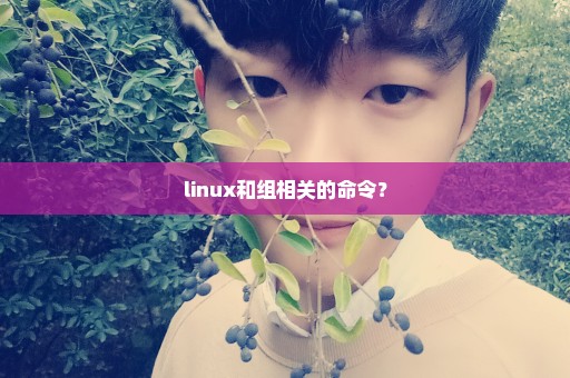 linux和组相关的命令？