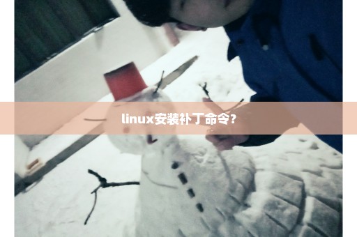 linux安装补丁命令？