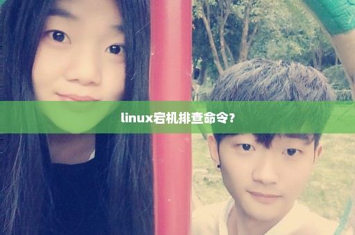 linux宕机排查命令？