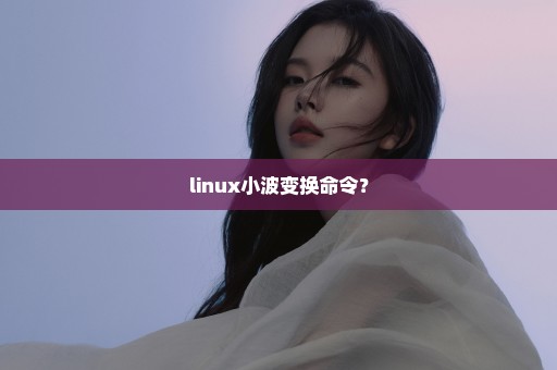 linux小波变换命令？