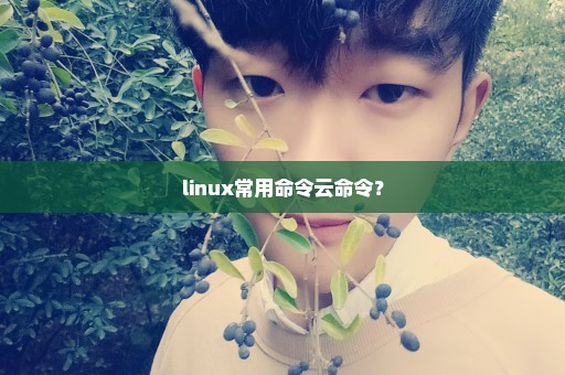 linux常用命令云命令？