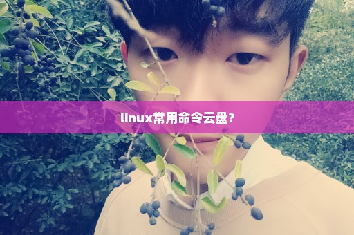 linux常用命令云盘？