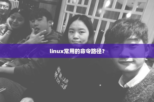 linux常用的命令路径？