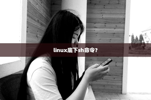 linux底下sh命令？