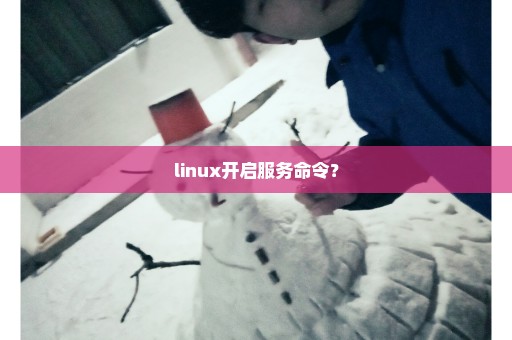 linux开启服务命令？