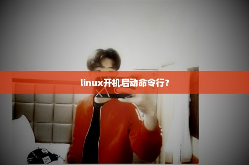 linux开机启动命令行？