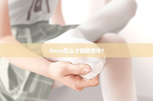 linux怎么才能输命令？