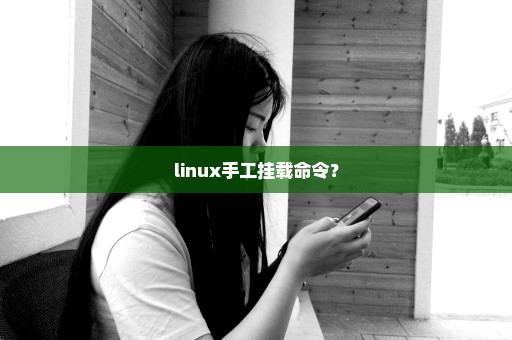 linux手工挂载命令？