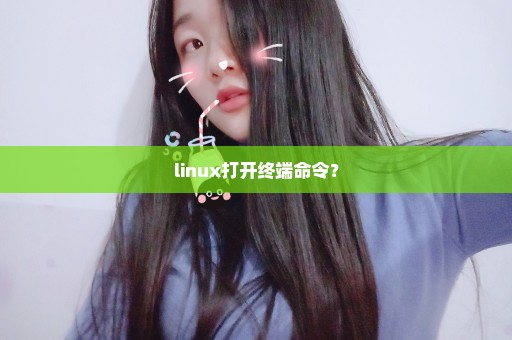 linux打开终端命令？