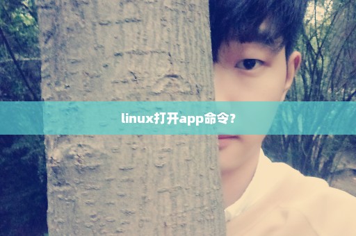 linux打开app命令？