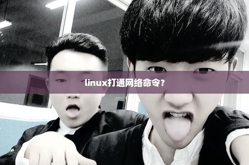 linux打通网络命令？