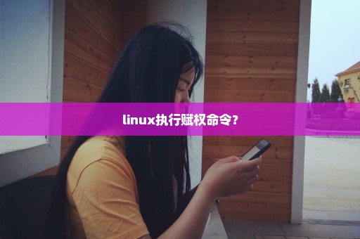 linux执行赋权命令？