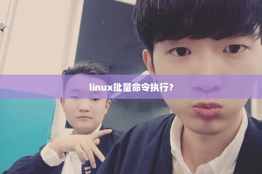 linux批量命令执行？