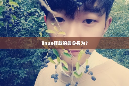 linux挂载的命令名为？