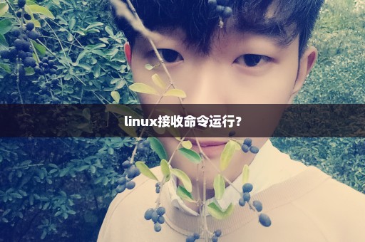 linux接收命令运行？