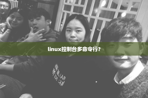 linux控制台多命令行？