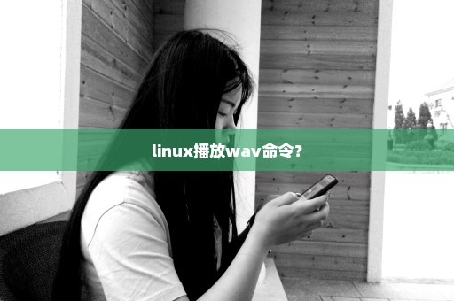 linux播放wav命令？