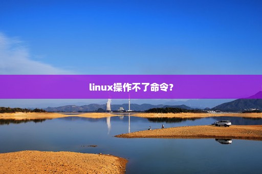 linux操作不了命令？