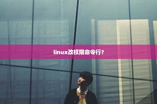 linux改权限命令行？