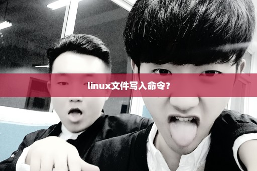 linux文件写入命令？