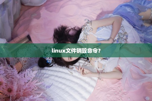 linux文件销毁命令？