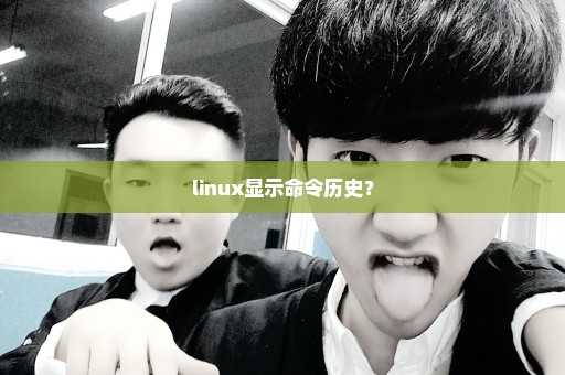 linux显示命令历史？