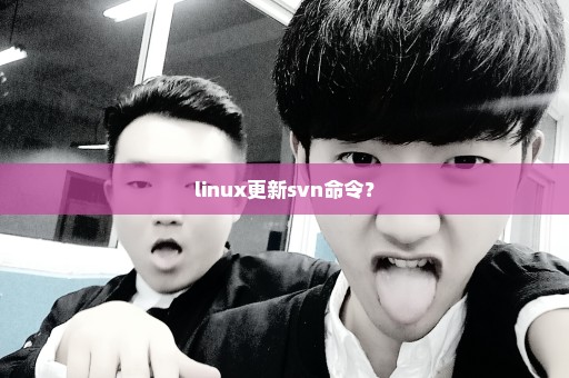 linux更新svn命令？