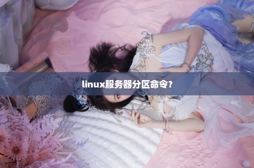 linux服务器分区命令？