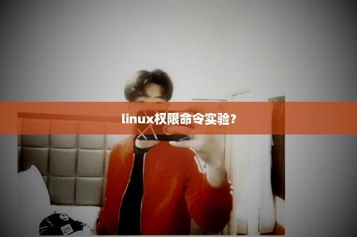 linux权限命令实验？