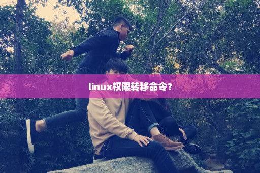 linux权限转移命令？