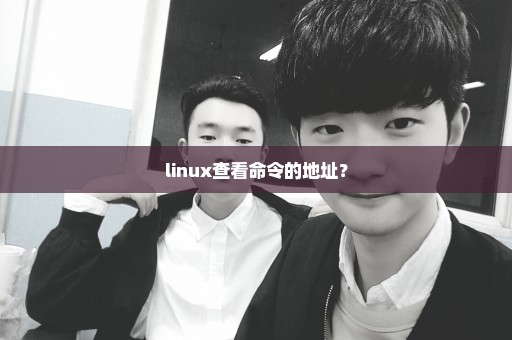 linux查看命令的地址？