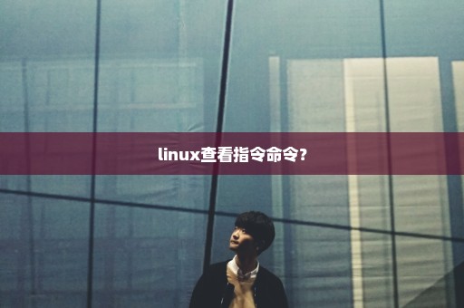 linux查看指令命令？