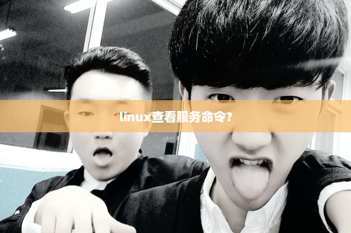 linux查看服务命令？