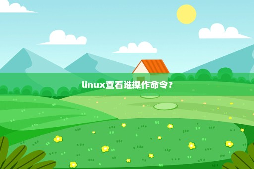 linux查看谁操作命令？